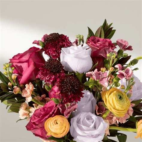 bouqs.com|Flower Delivery: Fresh Flower Bouquets .